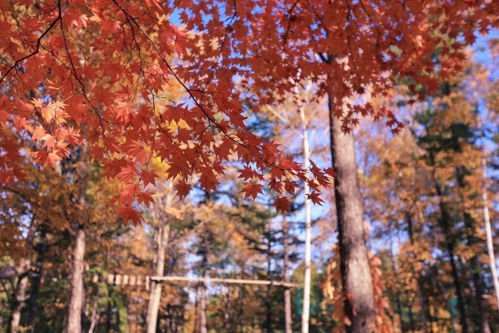 Furano Cube Sugar-方糖民宿,步行8Min到雪场,3 Brs,Max 6Ppl Εξωτερικό φωτογραφία